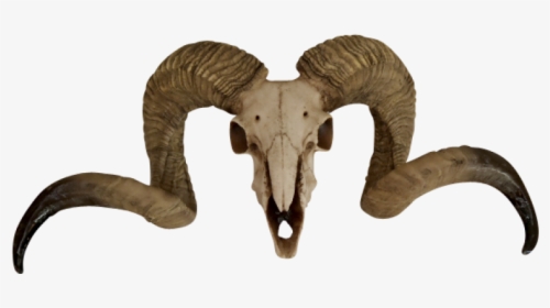 Ram Skull Png Transparent, Png Download, Free Download