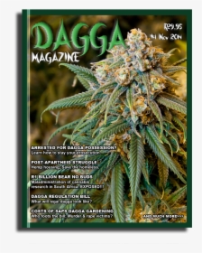 Dagga Magazine Concept Cover - Cheese Cannabis, HD Png Download, Free Download