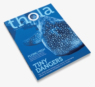 Thola Magazine Cover - Magazine Design, HD Png Download, Free Download
