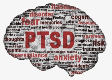 Ptsd, Vietnam Veteran News, Mack Payne - Post Traumatic Stress Disorder, HD Png Download, Free Download