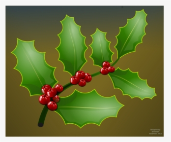 Holly Branch - Illustration, HD Png Download, Free Download