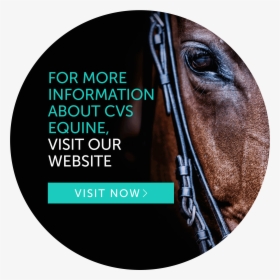 Cvs Equine - Cd, HD Png Download, Free Download