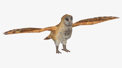 Barn Owl - Zoo Tycoon 2 Owl Zt2, HD Png Download, Free Download