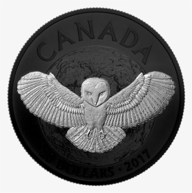 *nocturnal By Nature - Canadian Mint Owl Coin, HD Png Download, Free Download
