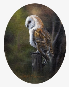 An Oil Painting Of A Barn Owl Perched On A Post - Barn Owl, HD Png Download, Free Download