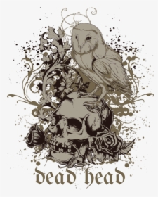 Transparent Dead Bird Png - Barn Owl, Png Download, Free Download