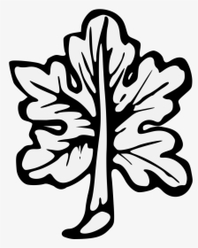Heraldic Symbol Fig Leaf, HD Png Download, Free Download