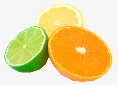 Common Citrus Fruit Png Royalty-free - Citrus Fruit Png, Transparent Png, Free Download
