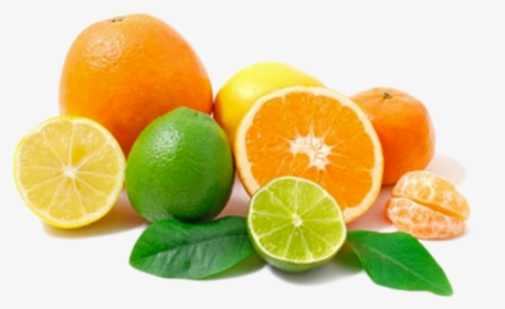 Lemon Fruit Png - Citrus Fruits Transparent Background, Png Download, Free Download