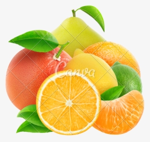 Fruits Transparent Citrus - Agrumes Isolé, HD Png Download, Free Download