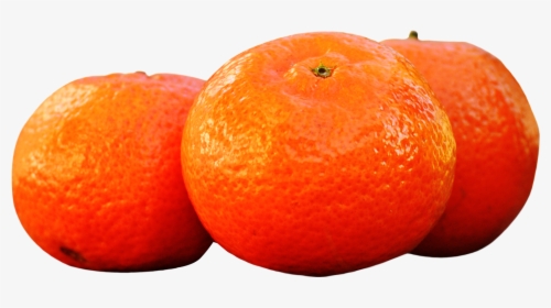 Mandarins Tangerines Png Image - Tangerines Png, Transparent Png, Free Download