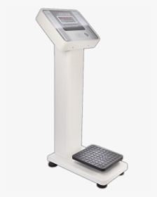 Coin Weighing Scale Model Sgs-led - Medical Equipment, HD Png Download, Free Download