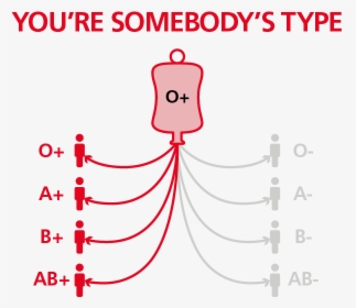 O Positive Blood Type, HD Png Download, Free Download