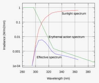 Erythemal Action Spectrum, HD Png Download, Free Download