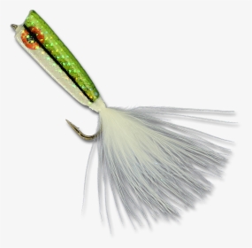 Baby Bass Popper - Fish, HD Png Download, Free Download