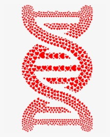 Also In The Blood 2 Clip Arts - Dna Strand Made With Words, HD Png Download, Free Download