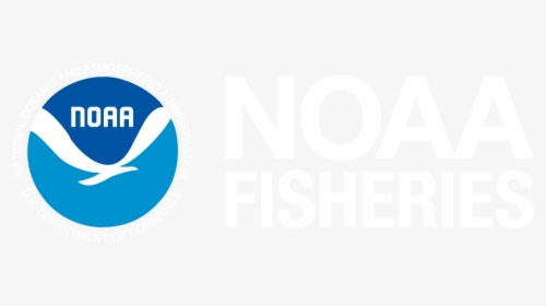 National Oceanic And Atmospheric Administration, HD Png Download, Free Download