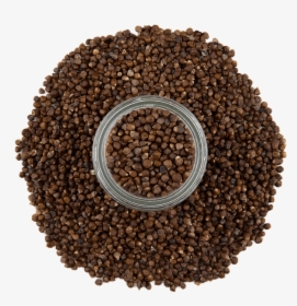 Grains Of Paradise 3 - Seed, HD Png Download, Free Download