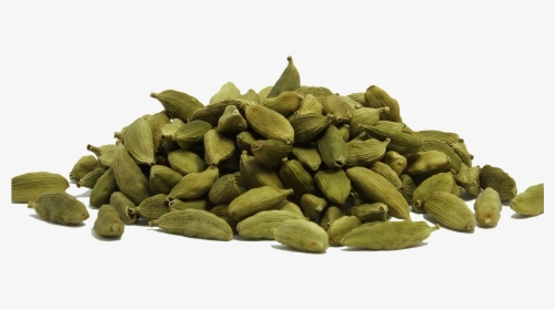 Cardamom Png, Transparent Png, Free Download
