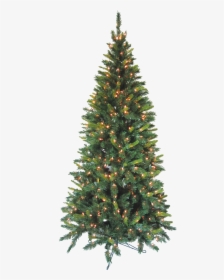 Fir Tree Transparent Background - Christmas Tree, HD Png Download, Free Download