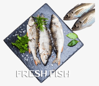 Online Fish In Thrissur,online Meat In Thrissur,online - Pacific Saury, HD Png Download, Free Download
