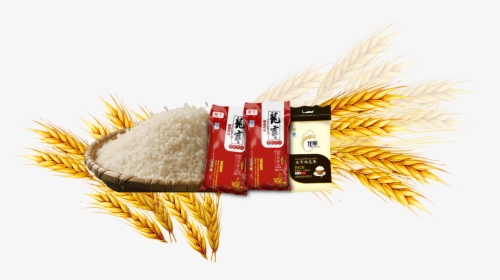 Rice Gadu Common Barley - Jasmine Rice, HD Png Download, Free Download