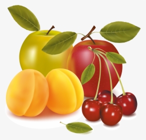 Transparent Prunes Clipart - Fruit Vector Icon Download Free, HD Png Download, Free Download