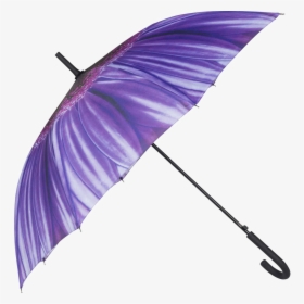 Colorful Umbrella Png Image File - Cut Out Umbrella, Transparent Png, Free Download