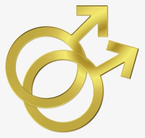 Gay, Symbol, Couple, Marriage, Lgbt, Pride, Homosexual - สัญลักษณ์ เพศ ชาย ชาย, HD Png Download, Free Download