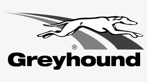 Image Result For Greyhound Logo Png - Greyhound Logo Png, Transparent Png, Free Download