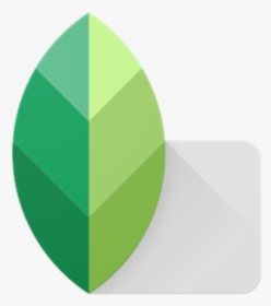 Snapseed App Logo Png, Transparent Png, Free Download
