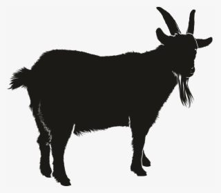 Portable Network Graphics Clip Art Vector Graphics - Transparent Goat Icon, HD Png Download, Free Download