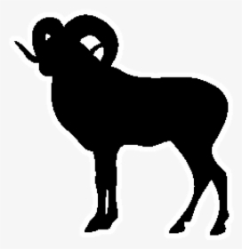 Goat Priangan Sheep Vector Graphics Bighorn Sheep Clip - Big Horned Sheep In Silhouette, HD Png Download, Free Download