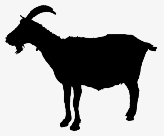 Stock Photography Silhouette Vector Graphics Illustration - Goat Silhouette Vector Png, Transparent Png, Free Download