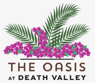 The Oasis At Death Valley Coupon Codes - Oasis Resort At Death Valley, HD Png Download, Free Download