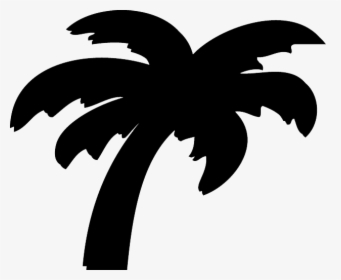 Palm Tree Png, Palm Trees, Oasis, Cactus Plants, Pineapple, - Date Palm ...