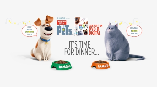 It"s Time For Dinner - Background Secret Life Of Pets, HD Png Download, Free Download