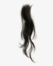 Transparent Hair Strand Png, Png Download, Free Download