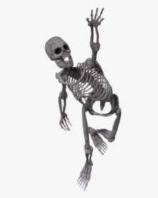 Running Skeleton Png - Skeleton Running Transparent Background, Png Download, Free Download