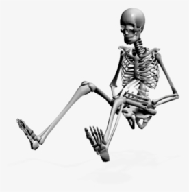 Skeleton Png Free Download - Transparent Skeleton Png, Png Download, Free Download