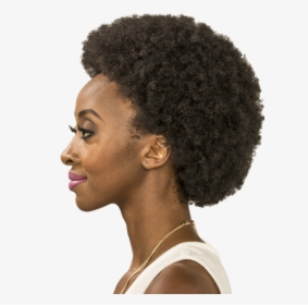 Afro Jheri Redding Jheri Curl Hair Coloring Wig - African Natural Hair Afro, HD Png Download, Free Download