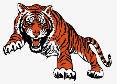 Angry Tiger Png - Bengal Tiger, Transparent Png, Free Download