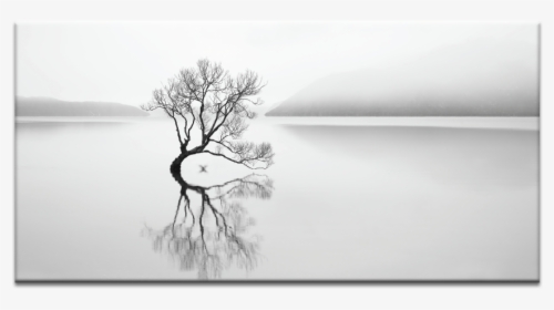 Serenity - Monochrome, HD Png Download, Free Download