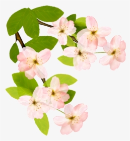 Flowering Dogwood Clipart , Png Download - Corner Dogwood Flower Border, Transparent Png, Free Download
