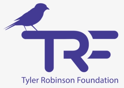Imagine Dragons Tyler Robinson Foundation, HD Png Download, Free Download
