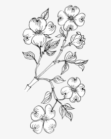 Dog Wood Coloring Pages, HD Png Download, Free Download