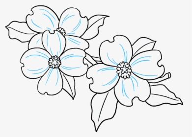 How To Draw Dogwood Flowers - Draw A Dogwood Flower, HD Png Download, Free Download