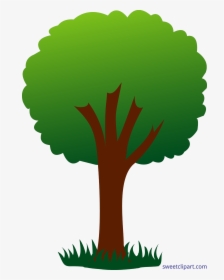 Family Tree Clipart, HD Png Download, Free Download