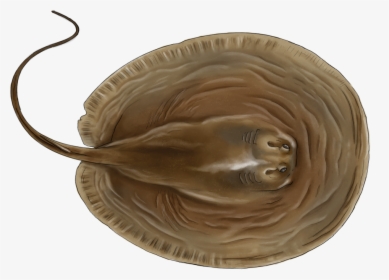 Carving, HD Png Download, Free Download