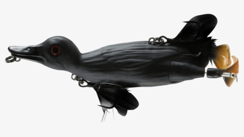 Murray Cod Surface Lures, HD Png Download, Free Download